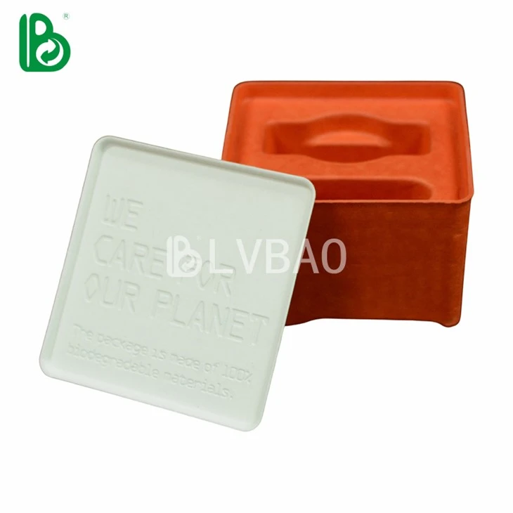 Orange Watch Pulp Box